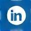 LinkedIn icon